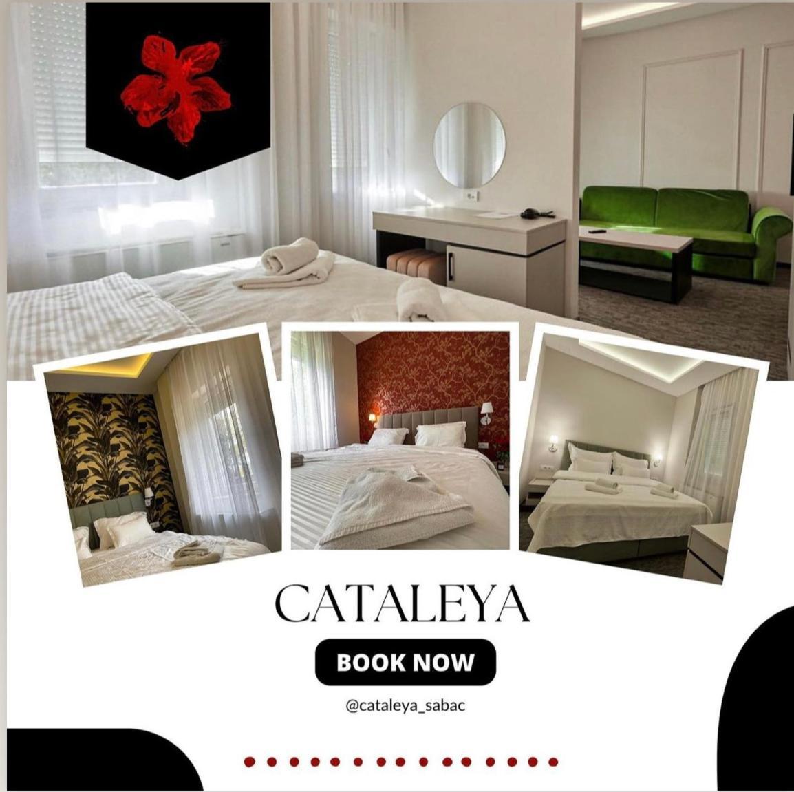 Hotel Cataleya Šabac Exteriér fotografie